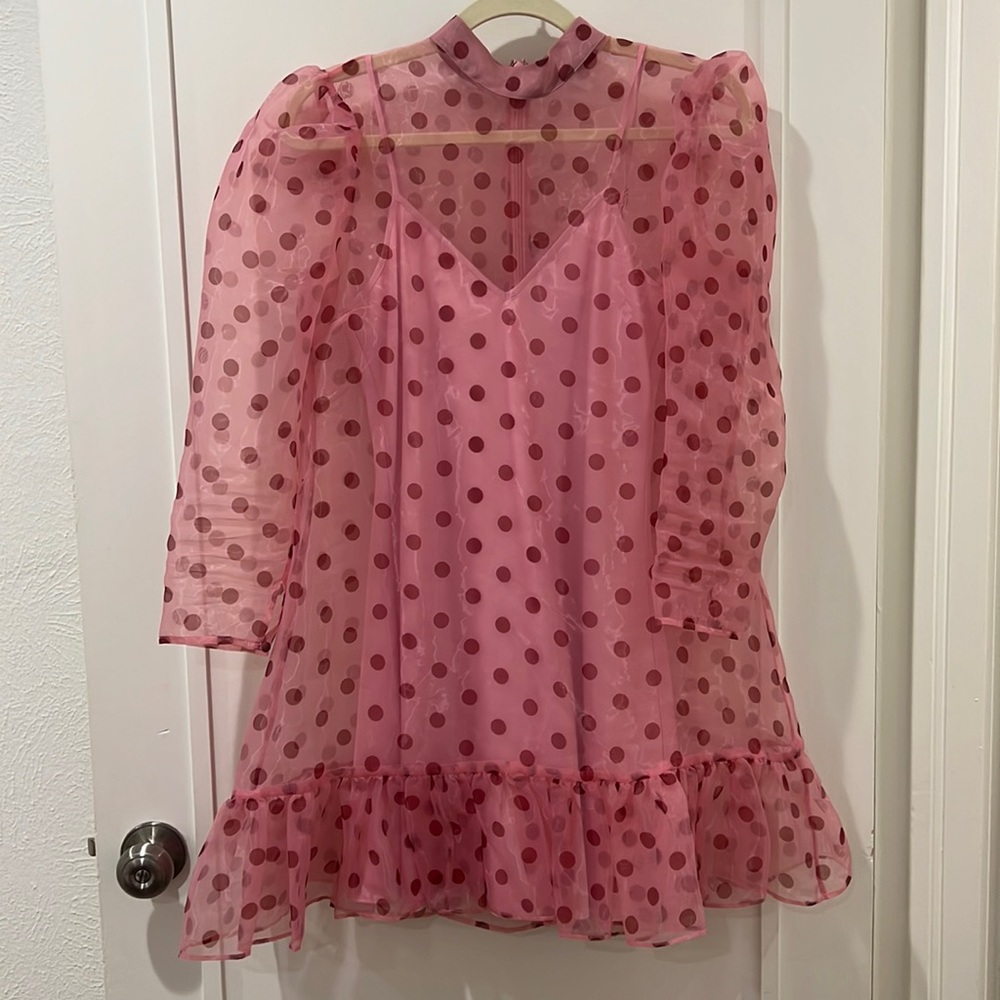 Pink Organza Polka Dot Dress